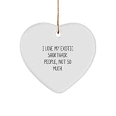 Funny Exotic Shorthair Cat Lovers Gifts from Family to Friends - I Love My Exotic Shorthair. People, Not So Much. - Heart Ornament for Christmas - Image 1